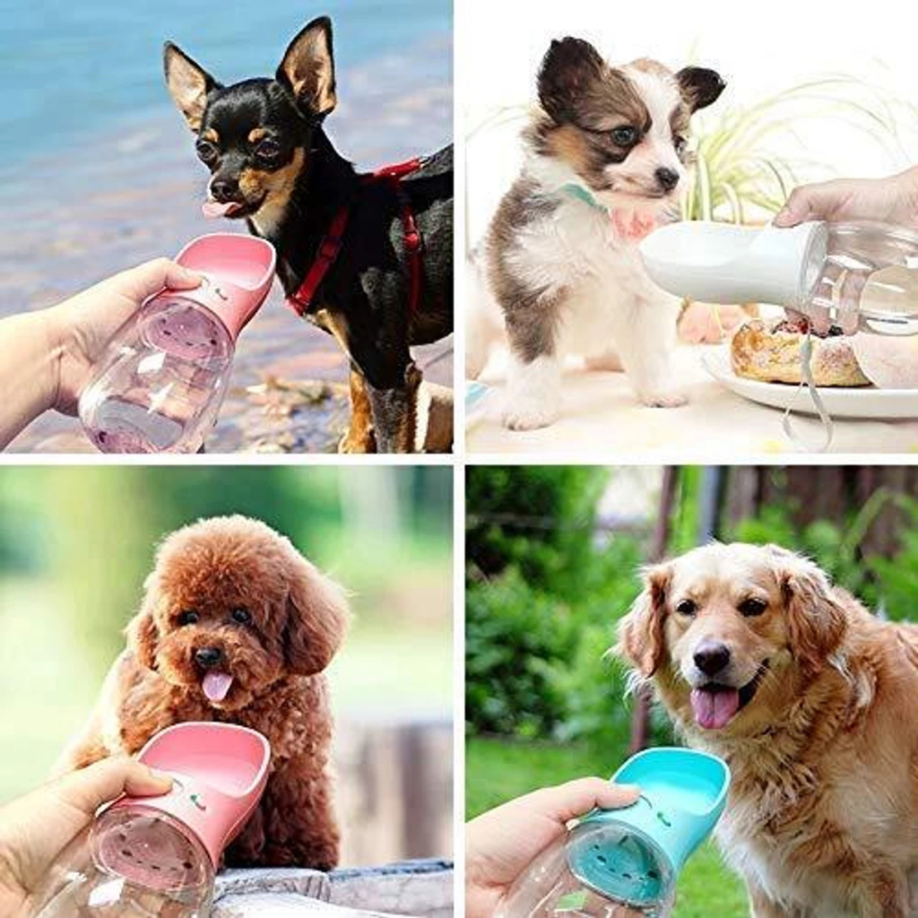PawSip Bottle
