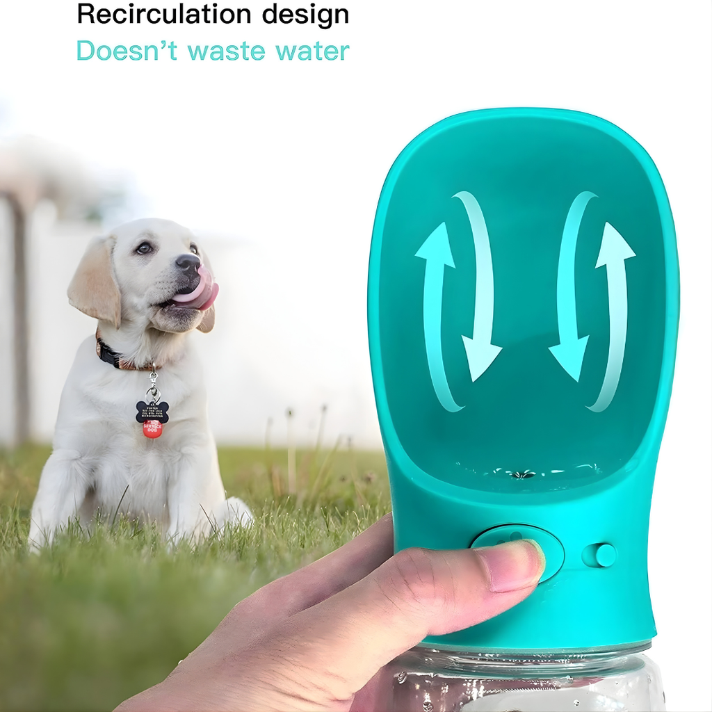 PawSip Bottle